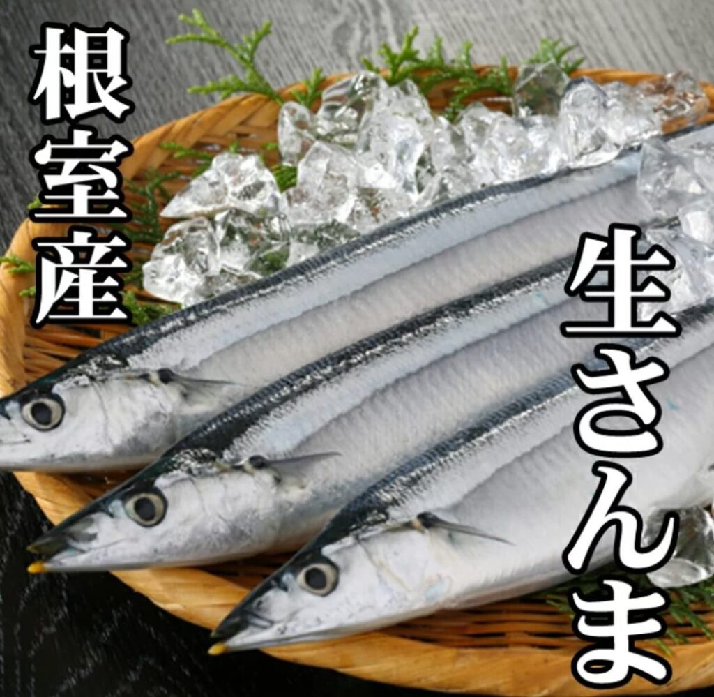 根室産　生さんま　サンマ　　徳山　居酒屋　ぜん