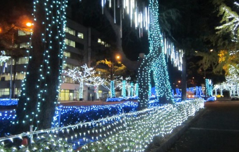 周南 徳山 ツリーまつり