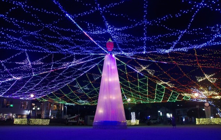 2025年 周南市 ツリーまつり