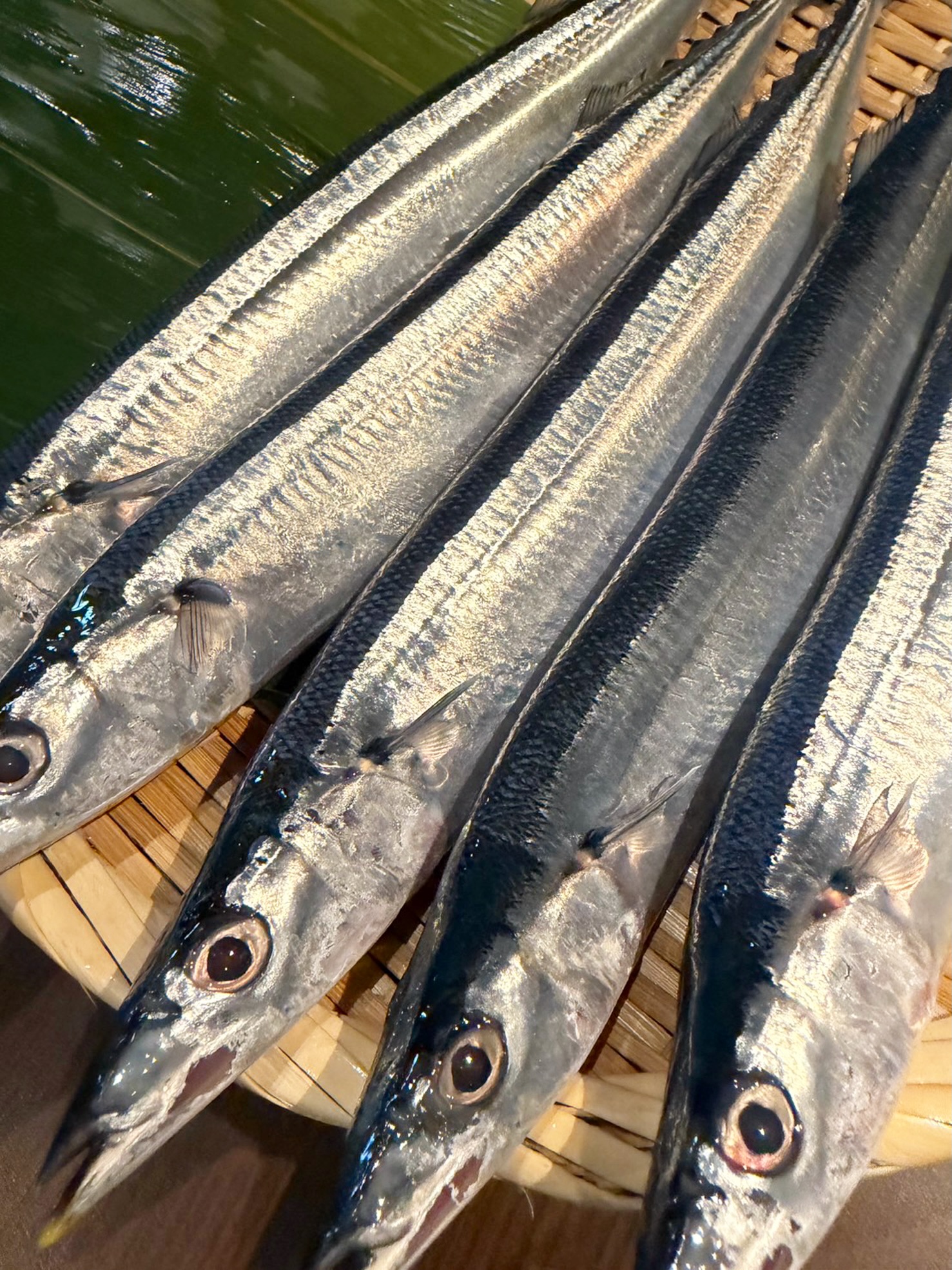 北海道産の生さんま（秋刀魚）入荷のお知らせ｜徳山駅前の居酒屋 周南Diningぜん